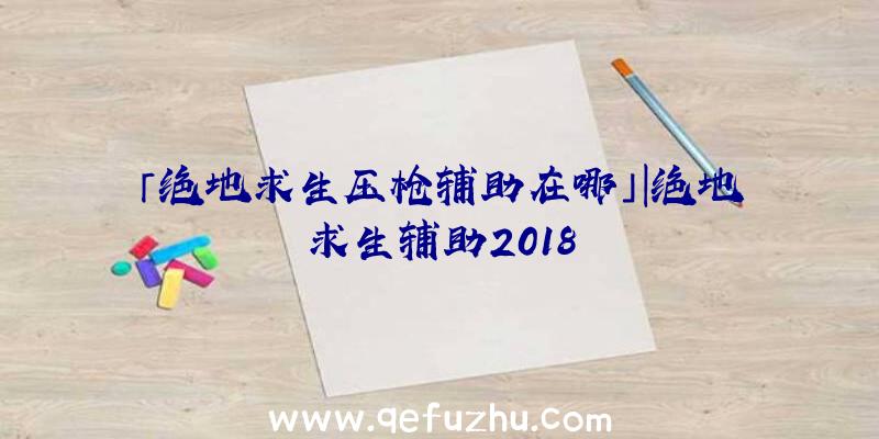 「绝地求生压枪辅助在哪」|绝地求生辅助2018